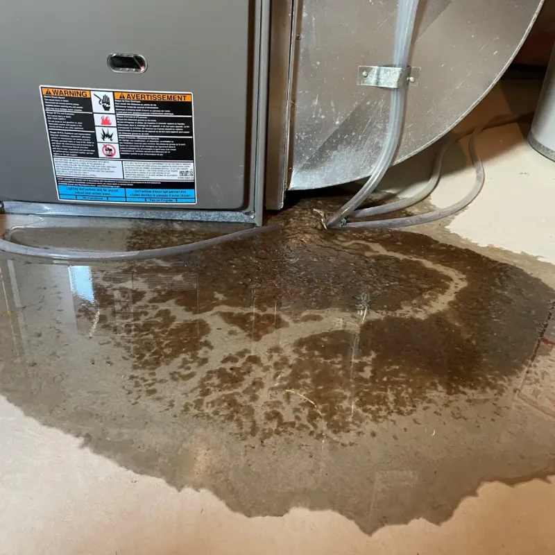 Appliance Leak Cleanup in Sterling, CO