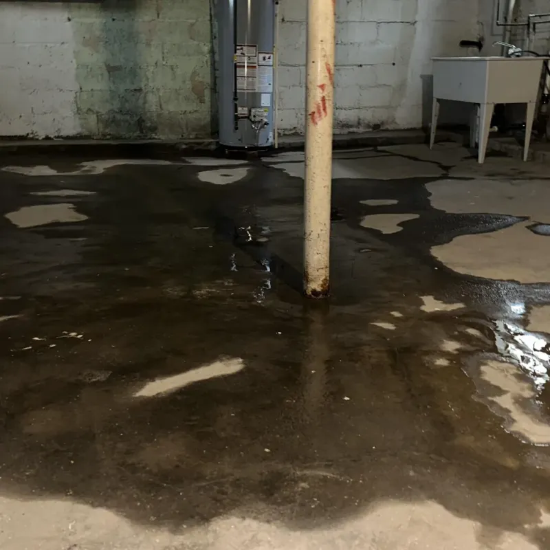 Emergency Water Extraction And Removal in Sterling, CO